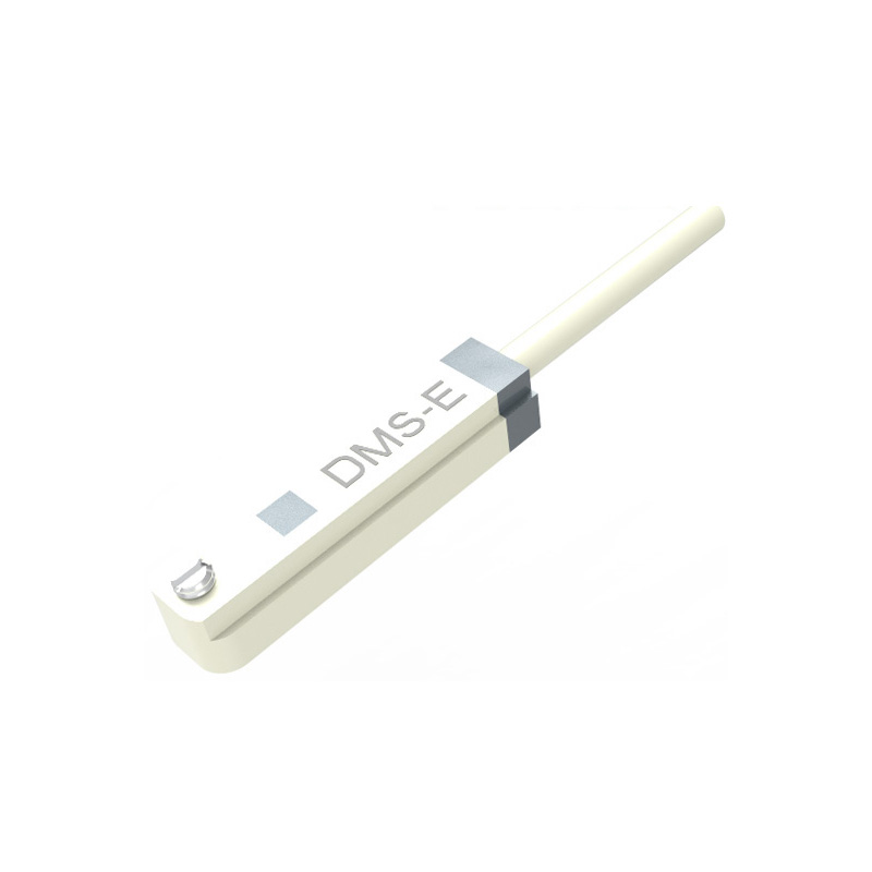 DMS-E